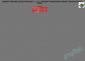 grafibit.hu - Bicskei tűzoltóság káreseti adatbázis